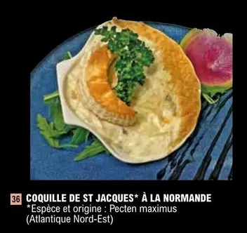 Coquille De St Jacques À La Normande offre sur E.Leclerc