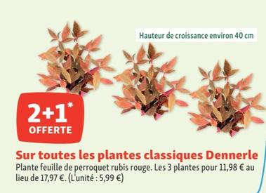 Dennerle - Sur Toutes Les Plantes Classiques