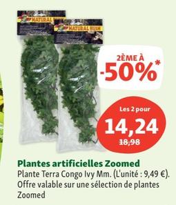 Zoomed - Plantes Artificielles