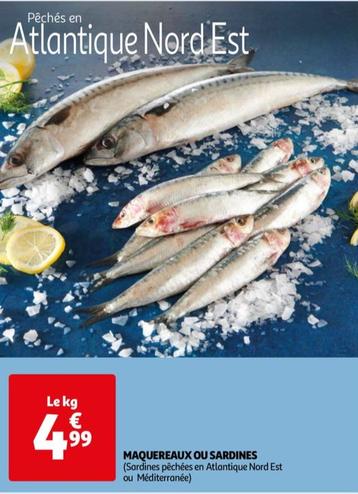 maquereaux ou sardines