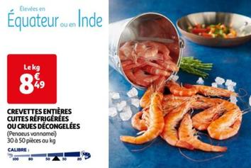 Crevettes Entières Cuites Réfrigérées Ou Crues Décongelées