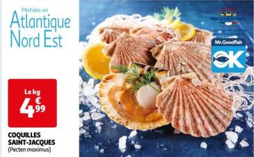 Coquilles Saint-jacques