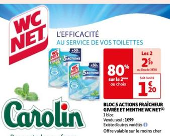 Blocs Actions Fraîcheur Givrée Et Menthe Wc Net