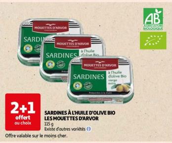 mouettes d'arvor - sardines à l'huile d'olive bio