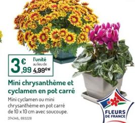 promo  botanic : 3,99€