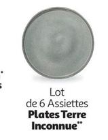 Lot De 6 Assiettes Plates Terre Inconnue