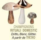 rituali domestic - champignons