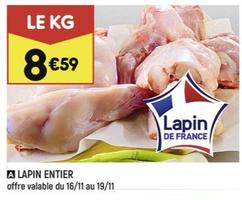 lapin entier