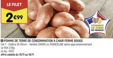 Pomme De Terre De Consommation À Chair Ferme Rouge