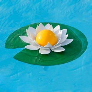 Thermomètre piscine Lotus offre à 9,5€ sur Desjoyaux