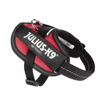 Harnais Chien – Julius-K9 Harnais IDC Power rouge – 2XS offre à 26,95€ sur Médor et Compagnie