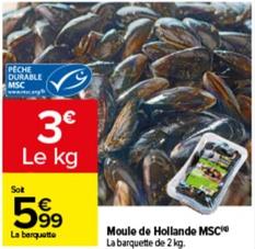 Moule De Hollande Msc