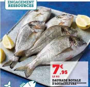Daurade Royale D'aquaculture