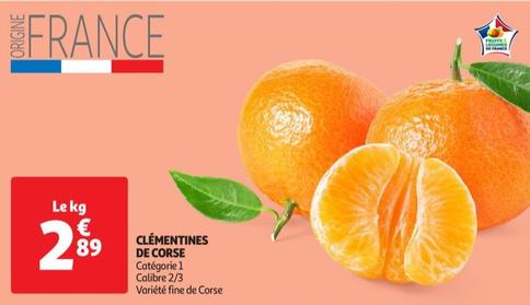 clementines de corse