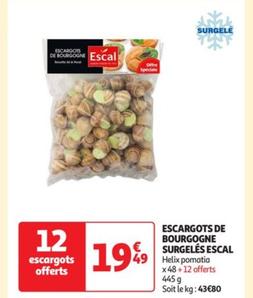 Escargots De Bourgogne Surgeles