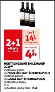 Château Fonguilion - Montagne Saint Émilion Aop 2019