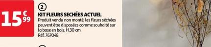 Actuel - Kit Fleurs Sechees