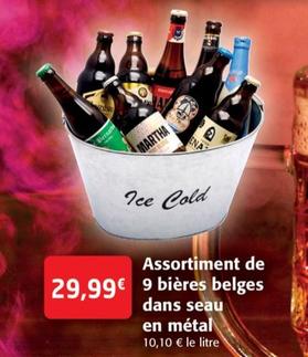 Assortiment De 9 Bières Belges Dans Seau En Métal