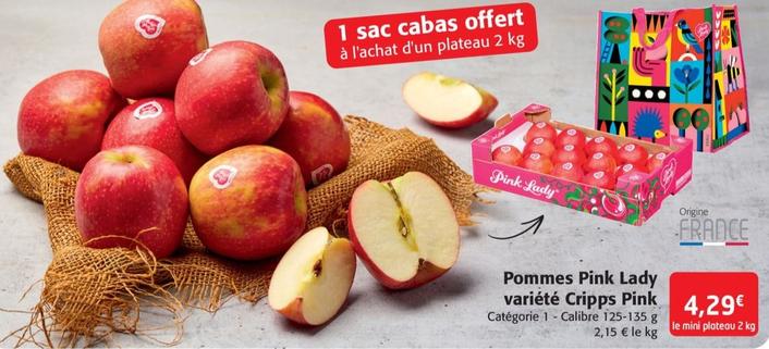 Cripps Pink - Pommes Pink Lady Variété