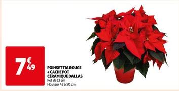 Poinsettia Rouge + Cache Pot Ceramique Dallas