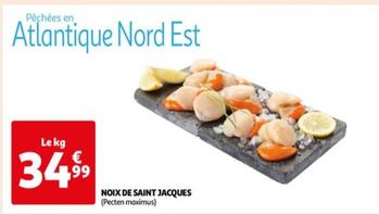 Noix De Saint Jacques