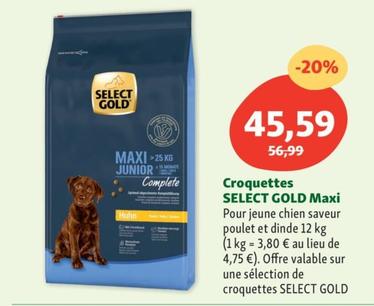 select gold - croquettes maxi