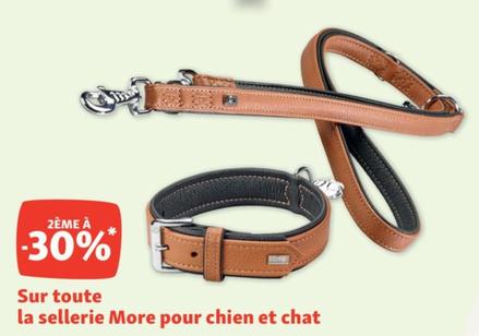 Sur Toute La Sellerie More Pour Chien Et Chat