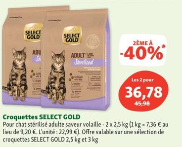select gold - croquettes