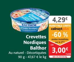 Balthor - Crevettes Nordiques