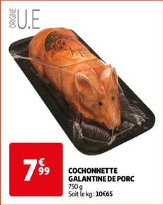 Cochonnette Galantine De Porc