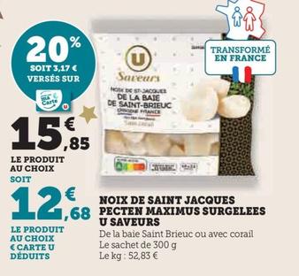 U Saveurs - Noix De Saint Jacques Pecten Maximus Surgelees