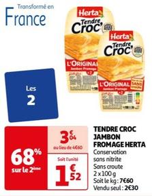 Tendre Croc Jambon Fromage