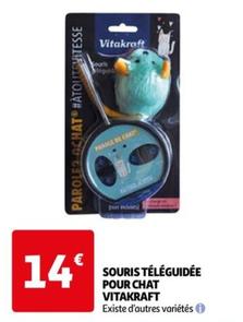 Souris Téléguidée Pour Chat