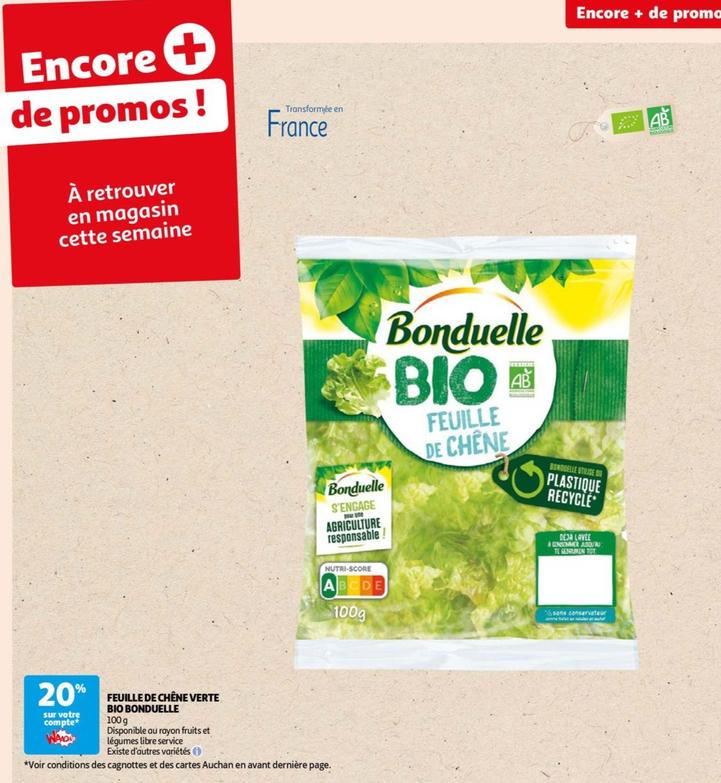 Feuille De Chêne Verte Bio