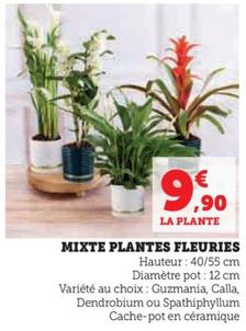 Mixte Plantes Fleuries