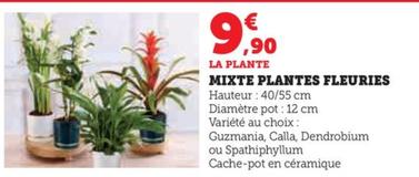 Mixte Plantes Fleuries