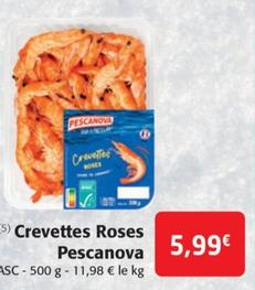 Crevettes Roses