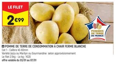 Pomme De Terre De Consommation À Chair Ferme Blanche