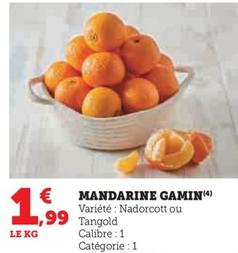Mandarine Gamin