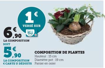 Composition De Plantes