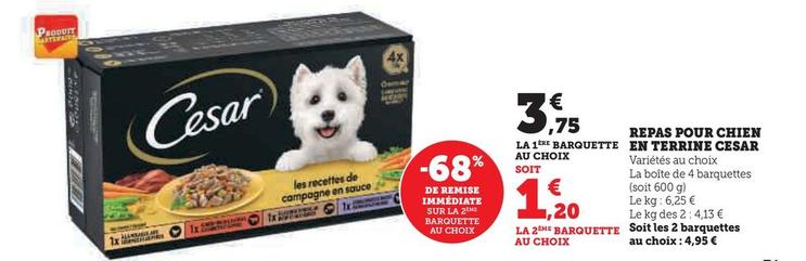 Cesar - Repas Pour Chien En Terrine