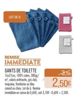 Gants De Toilette