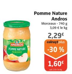 pomme nature
