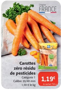 carottes zéro résidu de pesticides