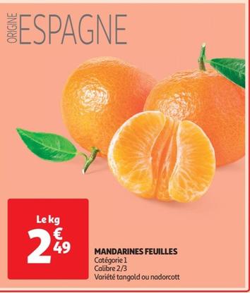 Mandarines Feuilles