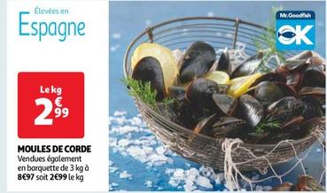 Mr.goodfish - Moules De Corde