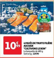 Fliere Auchan - 4 Paves De Truite "cultivons Le Bon"