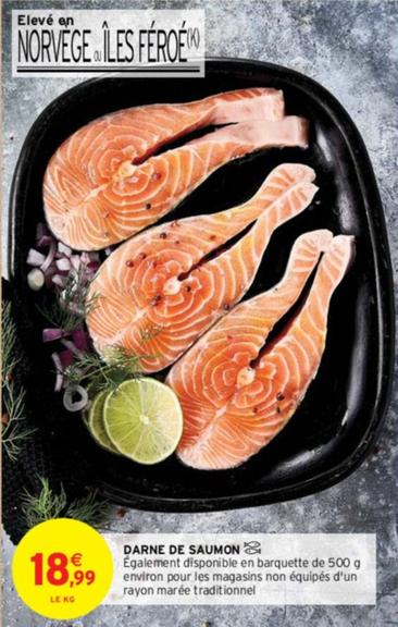 filets de saumon