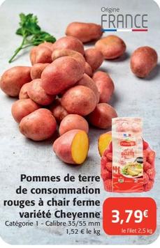 Découvrez Cheyenne, la variété de pommes de terre rouges à chair ferme idéale pour la consommation ! Profitez de notre promotion sur ce produit de qualité.