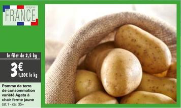 Promo : Pomme de terre Agata à chair ferme jaune, idéale pour la consommation